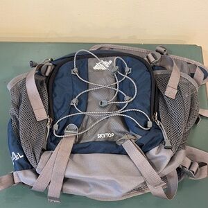 EMS Blue & Gray Nylon Skytop Waist/Shoulder Pack.